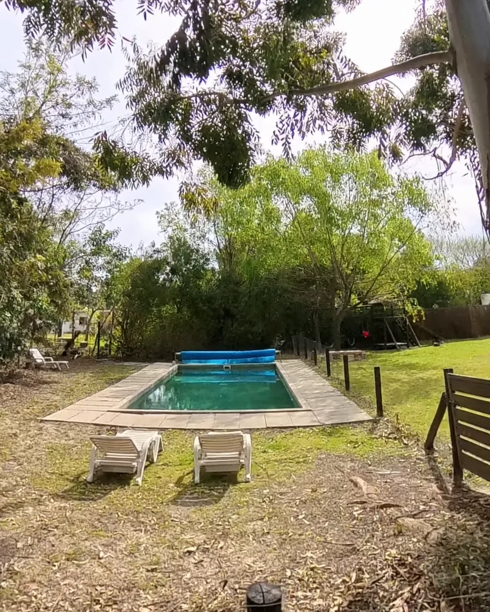 La piscina con reposeras, entre los árboles del jardín