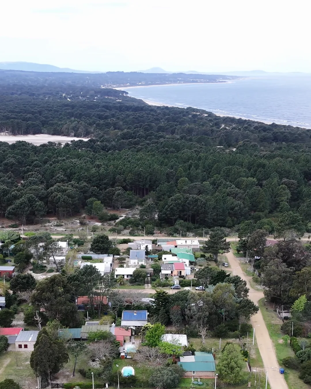 Bello Horizonte desde el aire: las casas entre el monte de pinos y la playa